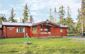  Five-Bedroom Holiday Home in Sjusjoen  Sjusjøen
